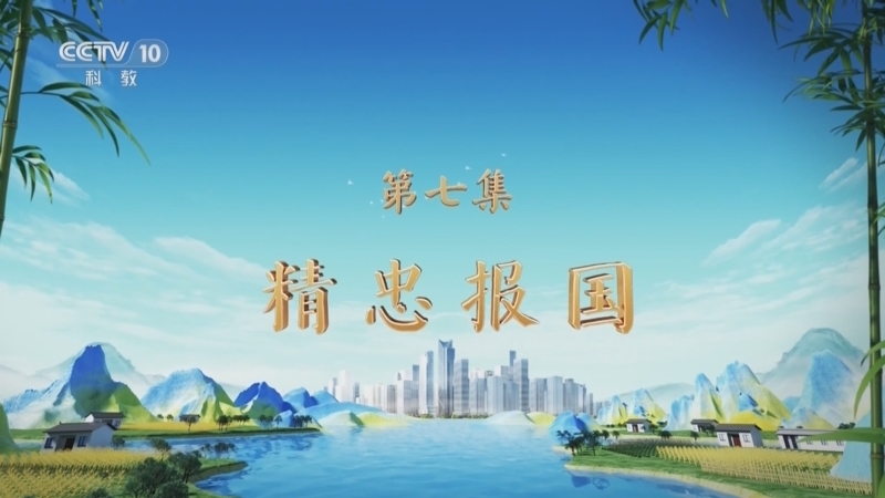 百家讲坛 《百家讲坛》 20250413 特别节目《天地有正气》（7） 精忠报国