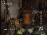 新闻调查 需要法律保护的猫？