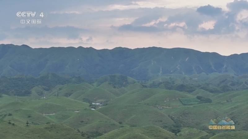 《远方的家》 20260113 中国自然秘境 三湘四水行：神奇南山