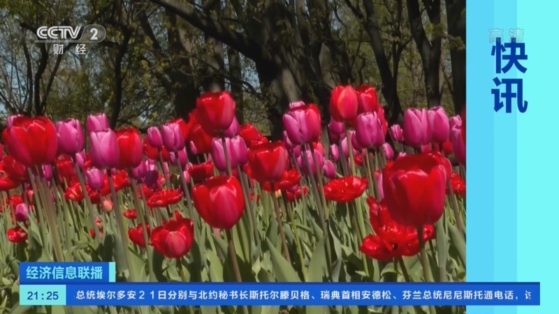 经济信息联播 《经济信息联播》 20220522