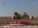 全省新闻联播 《全省新闻联播》 20141115