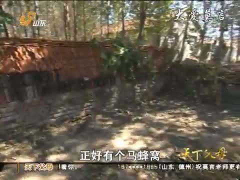 天下父母 《天下父母》 20121028 大爱莫言
