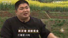 致富经 [致富经]黑泥塘 满眼是金 20160520