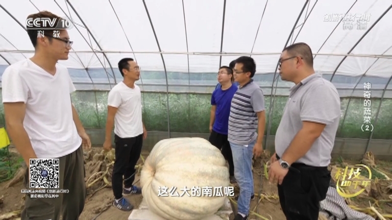 《创新进行时》 20210212 科技助丰年·神奇的蔬菜（2）