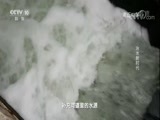 走近科学 《走近科学》 20171123 治水新时代