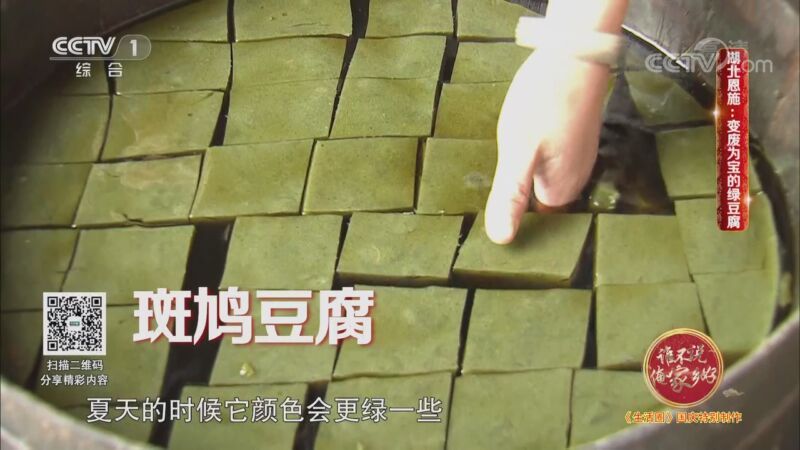 生活圈 《生活圈》 20201008