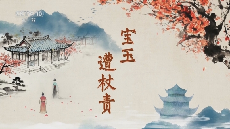 百家讲坛 《百家讲坛》 20251219 红楼名场面（第二部） 7 宝玉遭杖责
