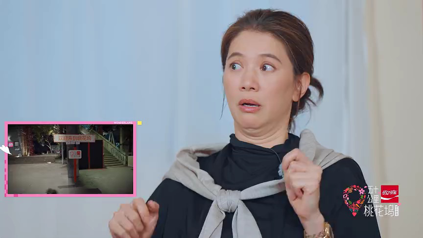 五十公里桃花坞 第6季 坞里陪你看：袁咏仪揭秘“幕后黑手”是志胜