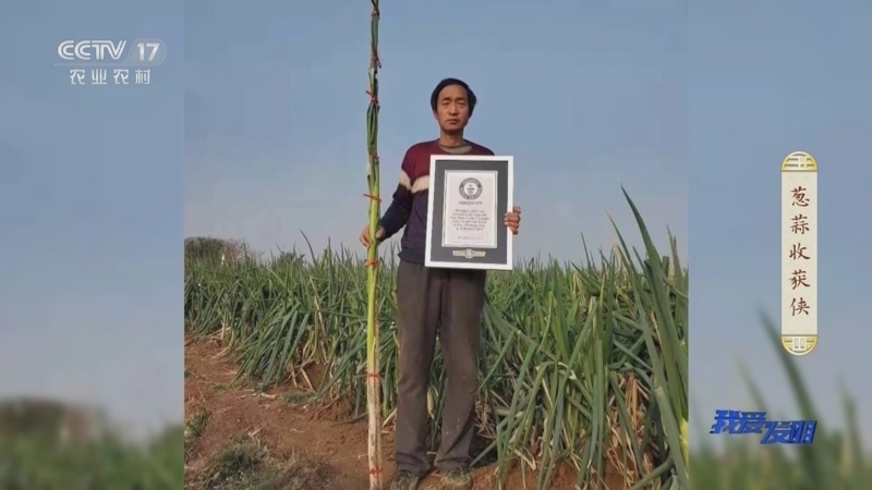 我爱发明 《我爱发明》 20230813 葱蒜收获侠