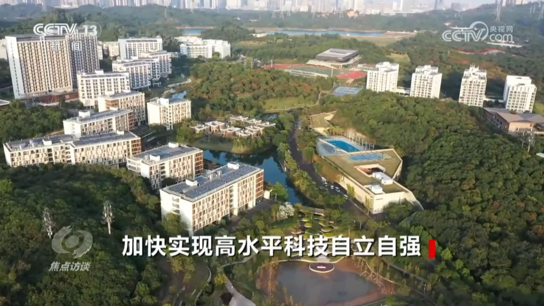 焦点访谈 《焦点访谈》 20240625 加快实现高水平科技自立自强