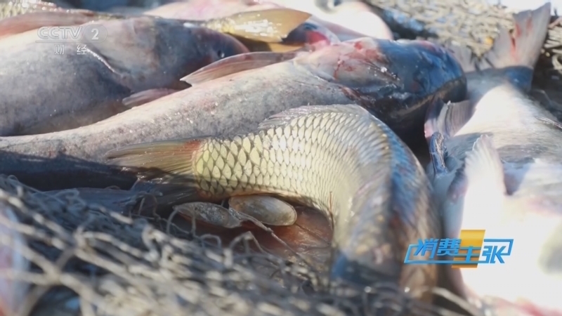 《消费主张》 20260112 2026冰雪消费再升级（五）：热火朝天玩儿冬捕