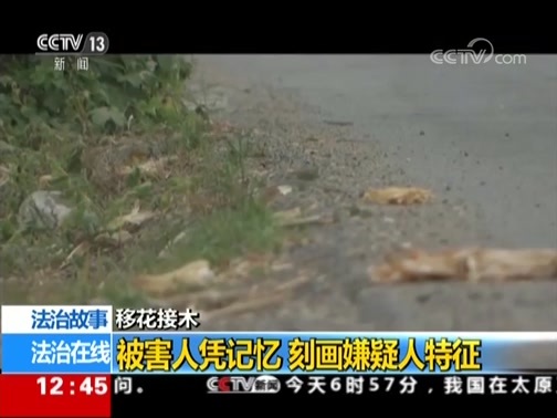 法治在线 《法治在线》 20181025