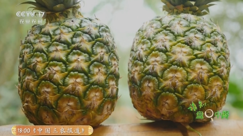 《谁知盘中餐》 20260316 春食纪 果味正香甜