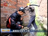 重庆新闻联播 《重庆新闻联播》 20160904