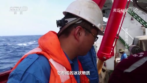 走近科学 《走近科学》 20190226 来自海底的生物（上）
