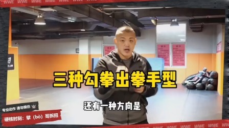 擘哥拆招20-三种勾拳出拳手型