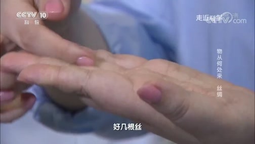 走近科学 《走近科学》 20181017 物从何处来 丝绸