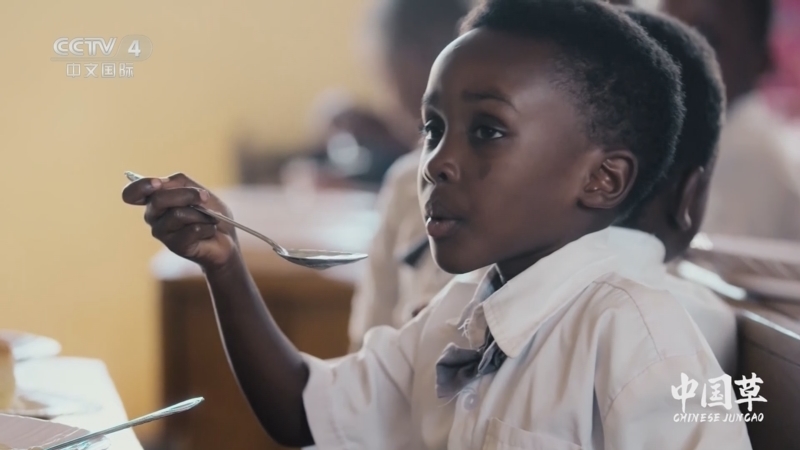 《中国草》 第4集 千丘万里