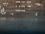 环球经济连线 《环球财经连线》 20170331