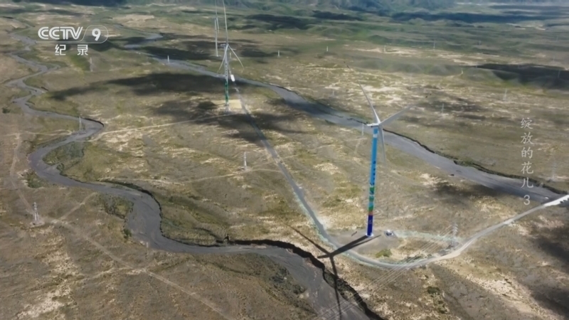 《绽放的花儿》 第3集 绿地