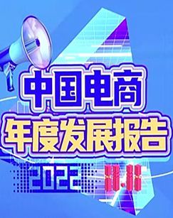 2022中国电商年度发展报告