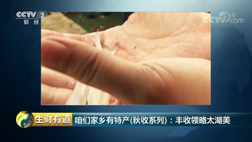 生财有道 《生财有道》 20181029 咱们家乡有特产（秋收系列）：丰收领略太湖美