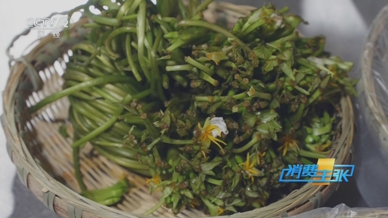《消费主张》 20250611 北方人不懂南方菜的美！