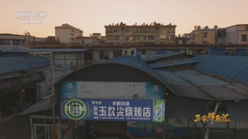 《三农群英汇》 20260222 布朗阿姐的烧烤之味