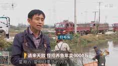 致富经 [致富经]请来天敌 怪招养鱼年卖3000万 20181205