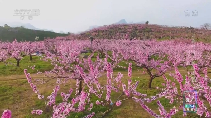 《大美中国·家国清明》 湖南