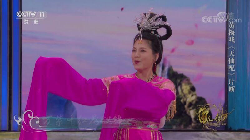 角儿来了 《角儿来了》 20201108 春风黄梅开