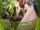 走近科学 《走近科学》 20180320 小菌株大作为（下）