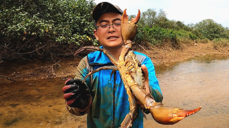 思乡渔夫赶海 新地方赶海真刺激，抓到4~5斤大螃蟹，把渔夫乐坏了