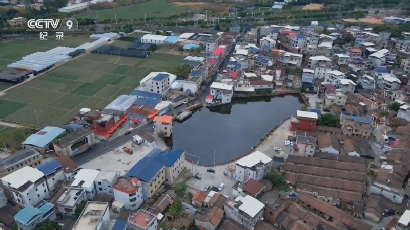《城市花季》 第4集 漳州水仙