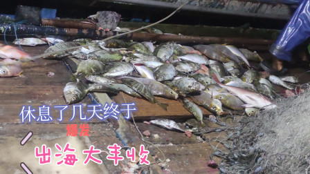 南澳岛赶海日记 休息了几天终于出海捕鱼，这次简直大丰收赚到了