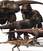 恐龙的后裔