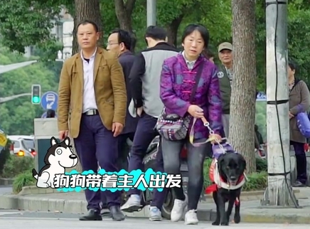 新闻大求真 导盲犬是如何引导过红绿灯的？