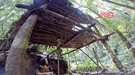 求生东南亚丛林100天79集