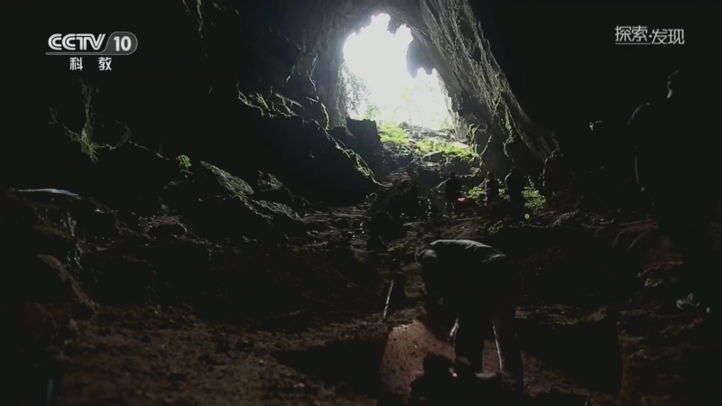 探索发现 《探索·发现》 20260607 走进发掘现场（60）