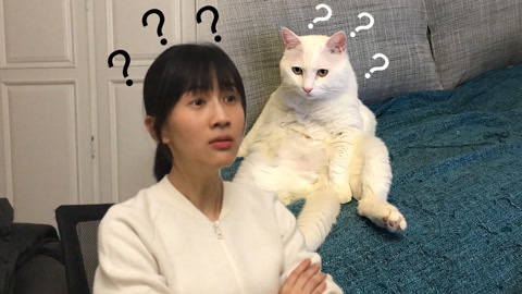 papi酱 papi酱；日常；老公