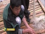 生财有道 《生财有道》 20160725 五龙壮乡的生态财富
