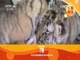 远方的家 《远方的家》 20150720 特别节目——暑假去游学（5）微观世界里的美妙精灵