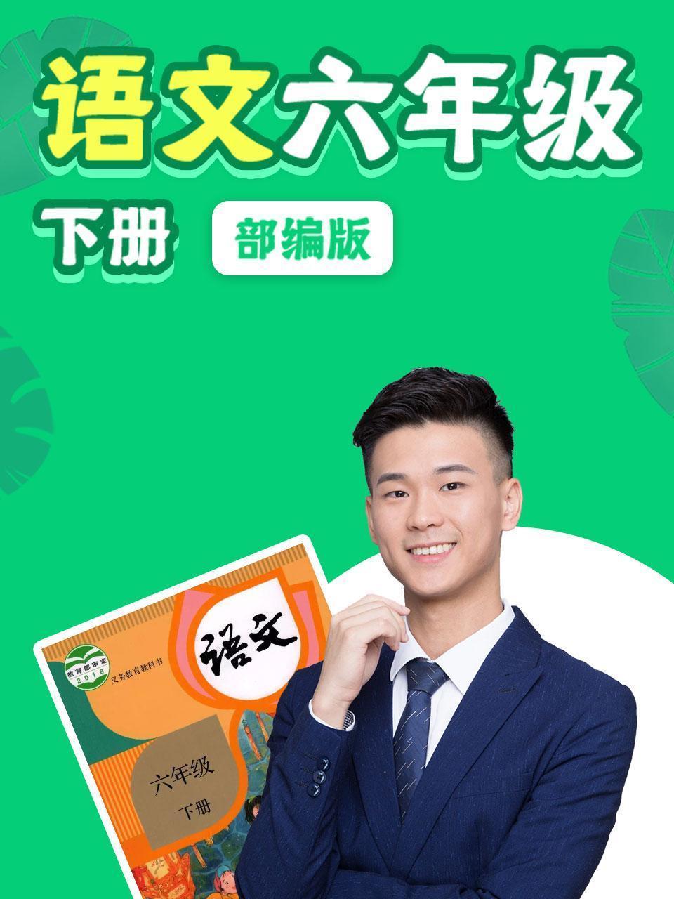语文六年级下册部编版