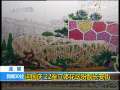新闻30分 [视频][北京]迎国庆 22座立体花坛扮靓长安街