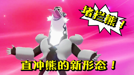 酷爱精灵宝可梦 第一季 直冲熊如何进化成堵拦熊？经验糖果管够现场进化！