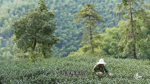 更杭州 他是最早尝到春天味道的人