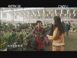 消费主张 《消费主张》 20150129 节前探市场——“花花世界”啥动向