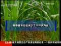 新闻周刊 新闻周刊 2009-08-22