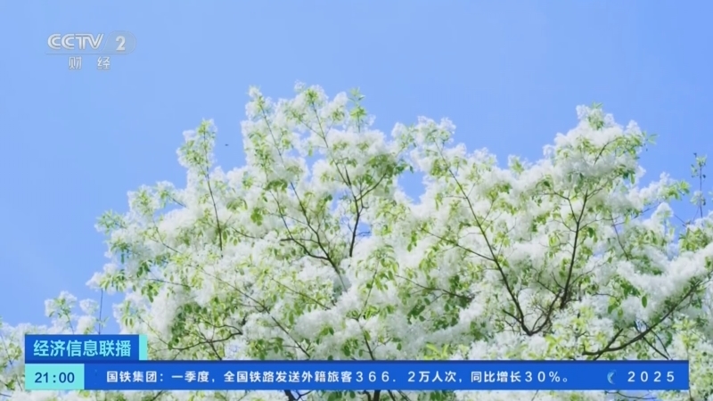 经济信息联播 《经济信息联播》 20250417