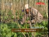 县域经济报道 《县域经济报道》 20111104